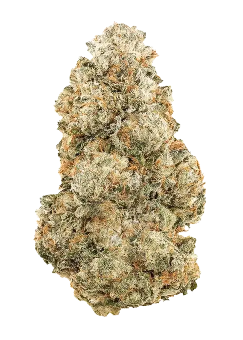 Grapefruit Zruntz