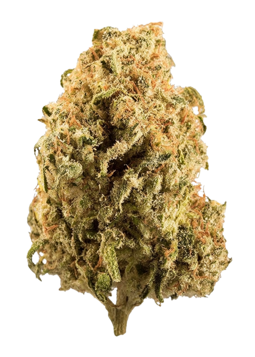 Fruity Gum