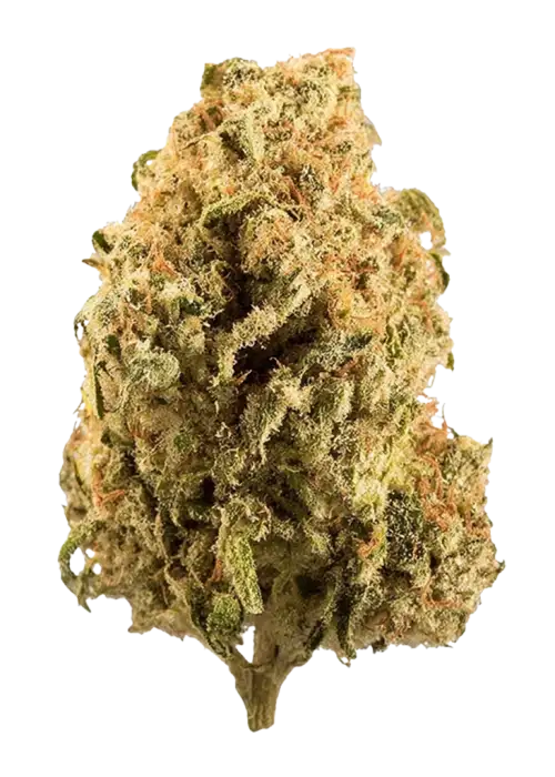 Fruity Gum