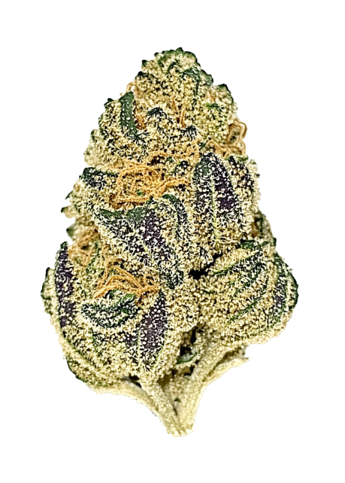 Fruity Gum