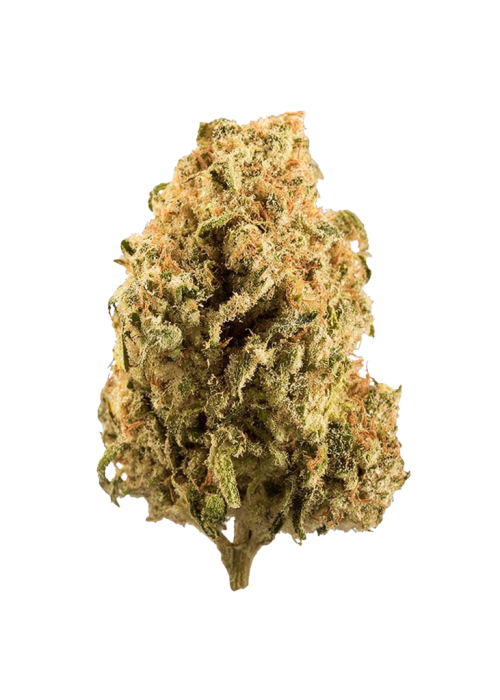 Fruity Gum