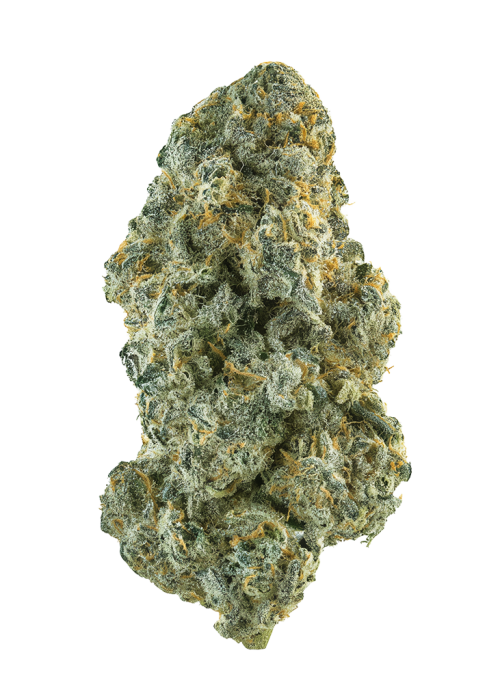 Albarino