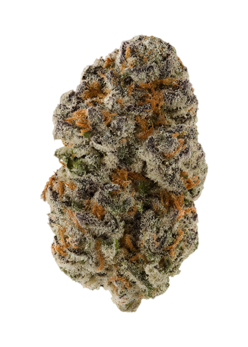 Lilac Wine