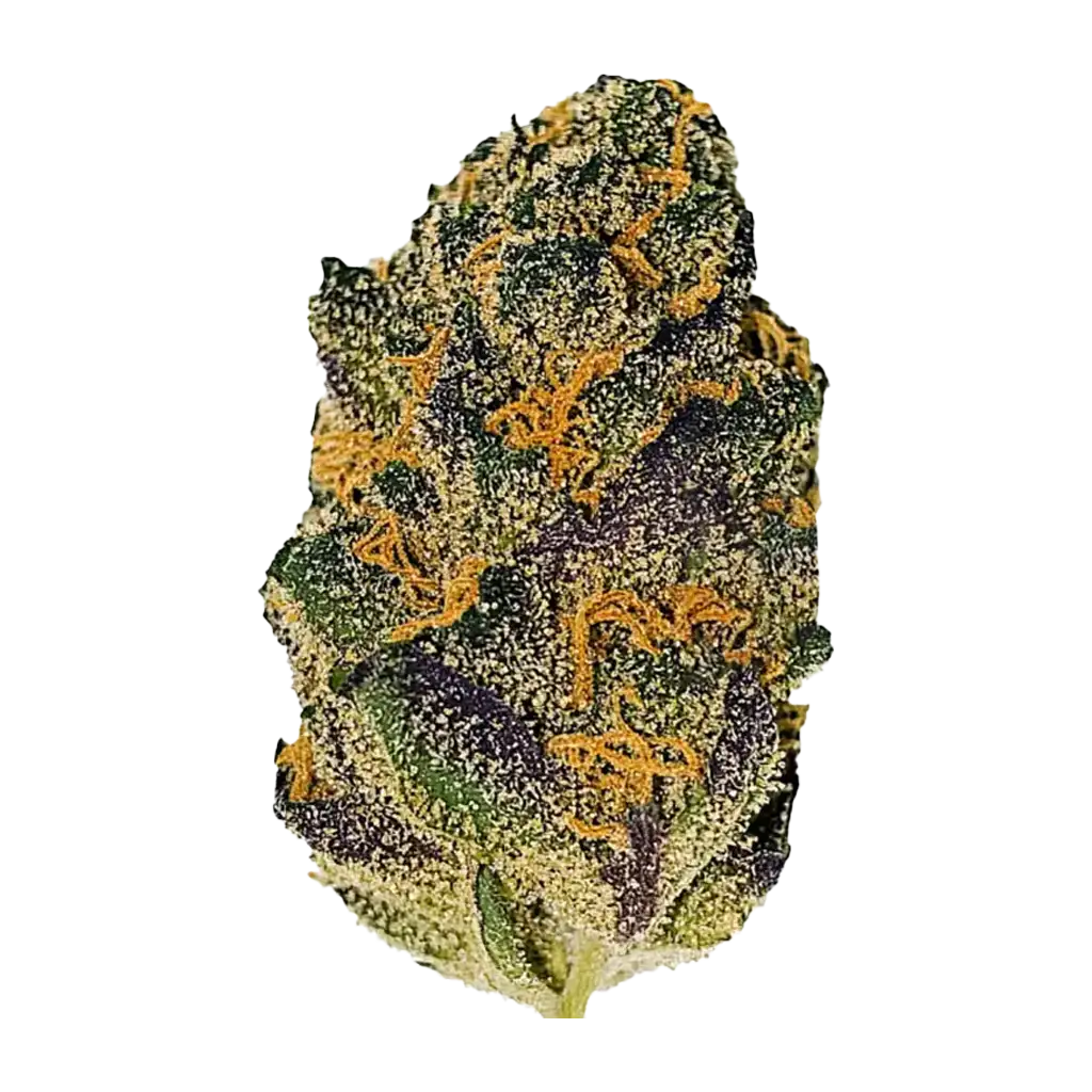 Krypto Chronic Cannabis Strain Information - GrowDiaries