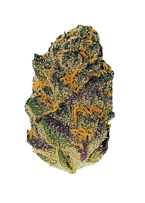 Chronic
