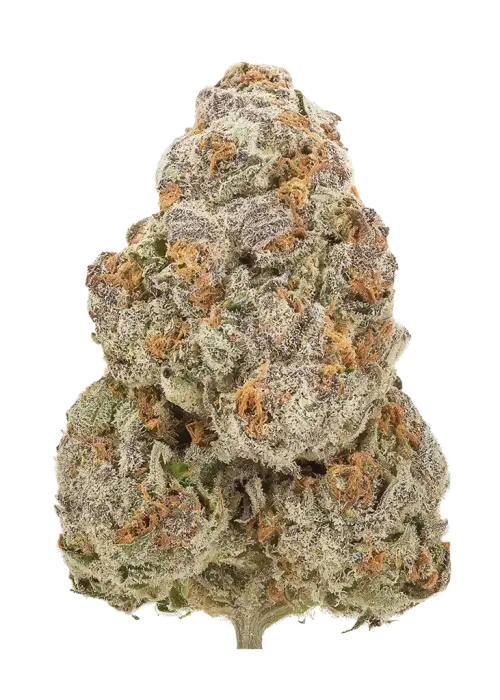 Space Glue