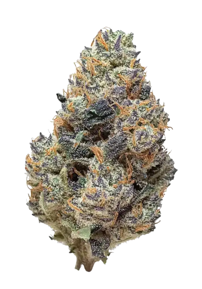 カリフォルニア産インディカ系 Grape Ape Candy 20ml ラス1! Buy Grape Ape Candy - 100% Terpene Profile