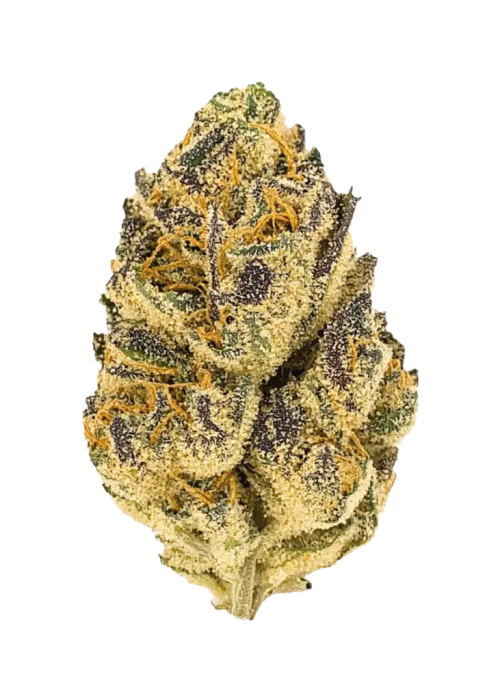 Gazzurple