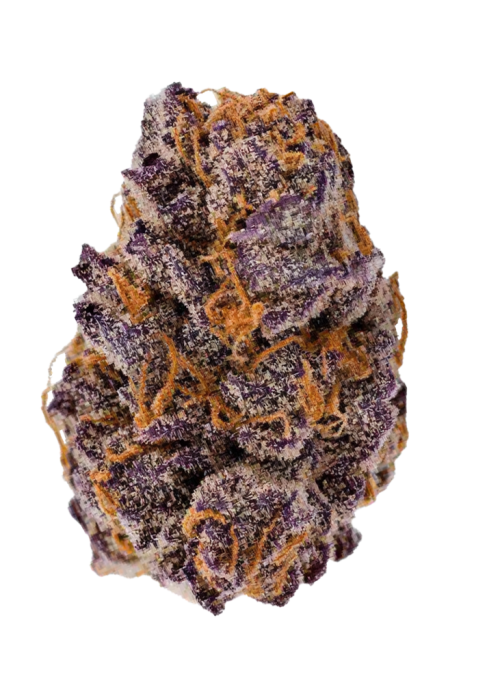 Lemon Cherry Cookies Auto