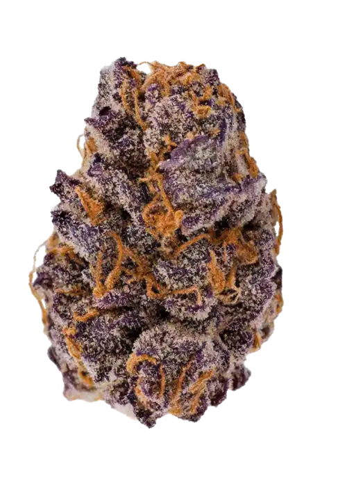 Lemon Cherry Cookies Auto