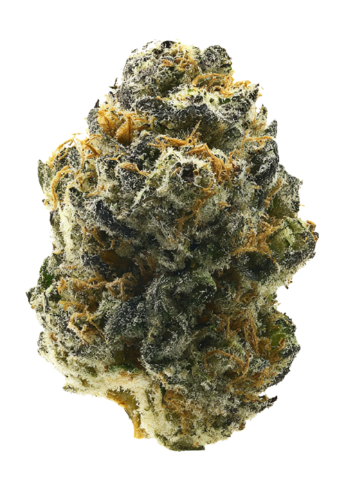 Mellowz