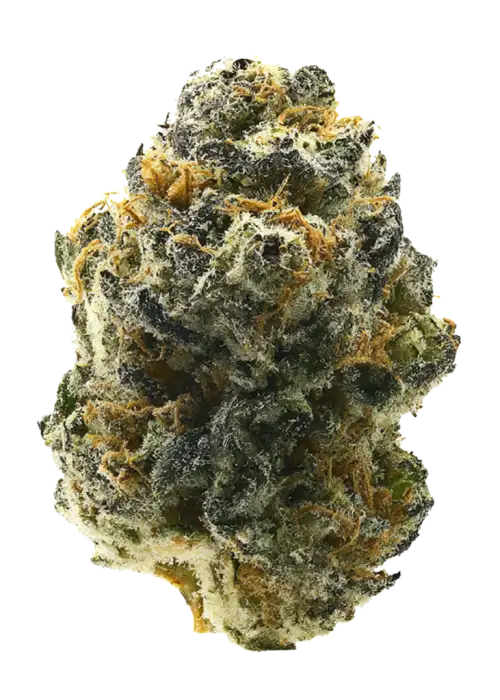 Mellowz