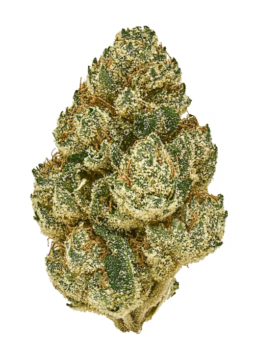 Gorilla Runtz
