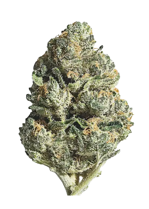 Moroccan Peaches