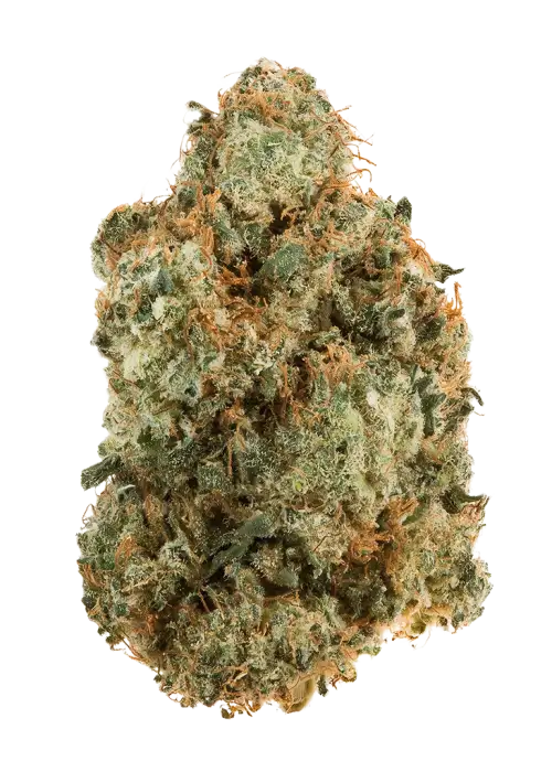 Candy Glue