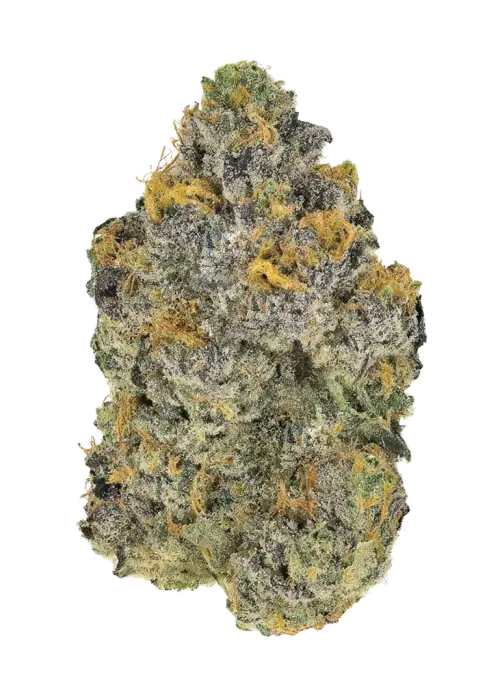 Miracle Grapefruit