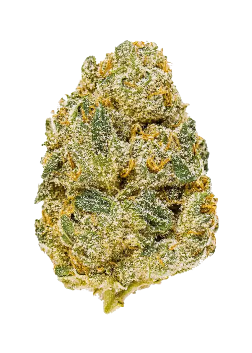 Orange Sherbet Auto