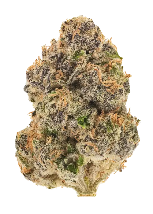 Triangle Sherbet
