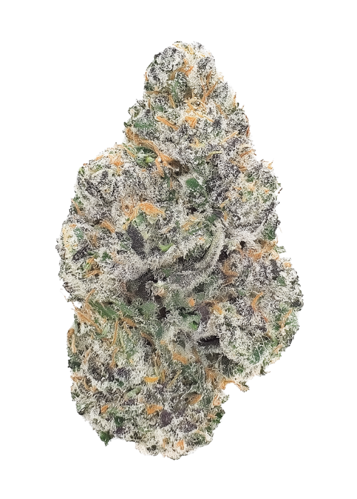 Grape Gary