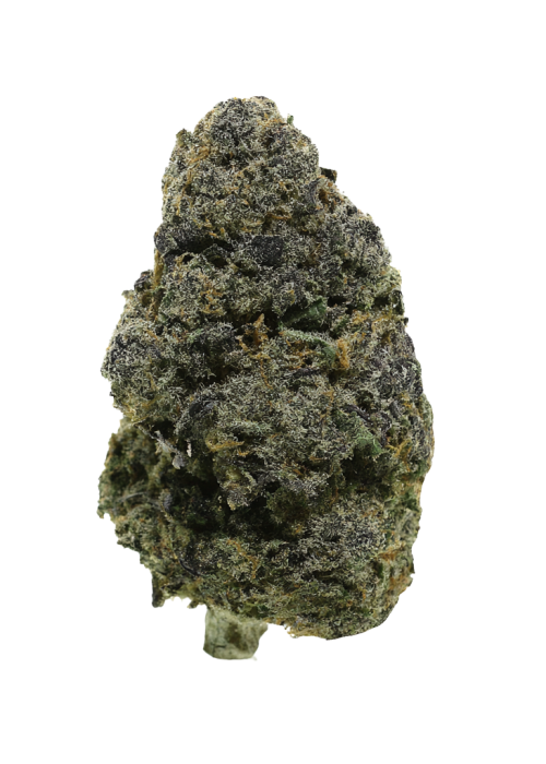 Space Rocks