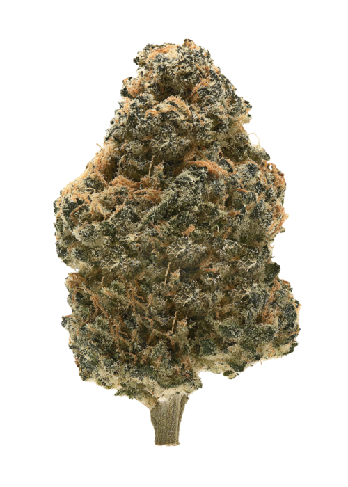 Kosher Cake Auto