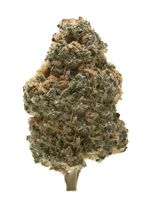 Kosher Cake Auto