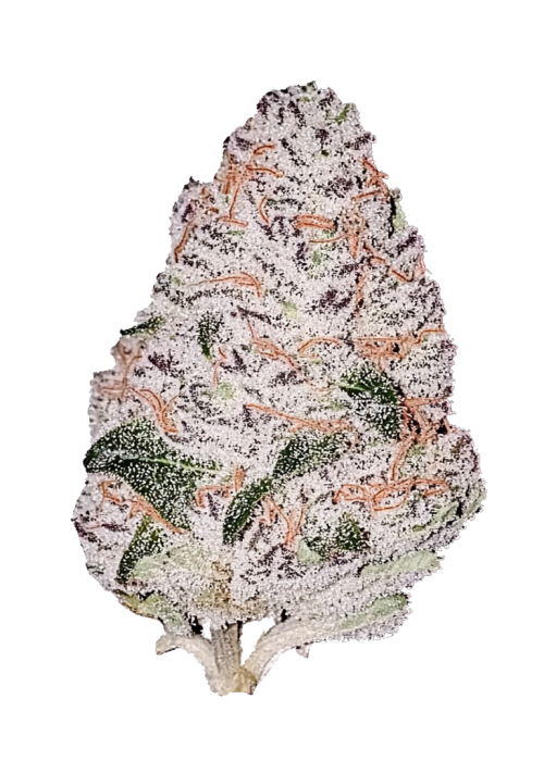 Strawberry Pie Auto