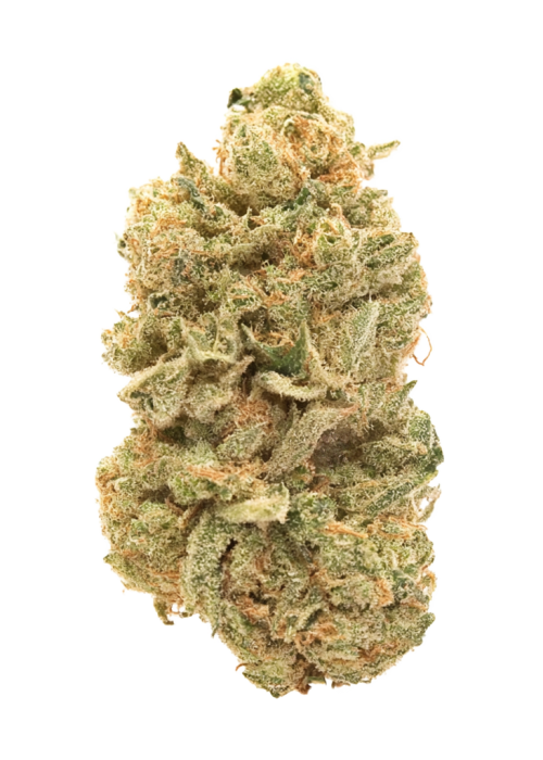 Brotherhood OG