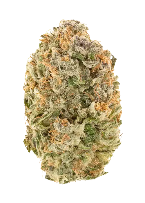 Tropical Popsicle