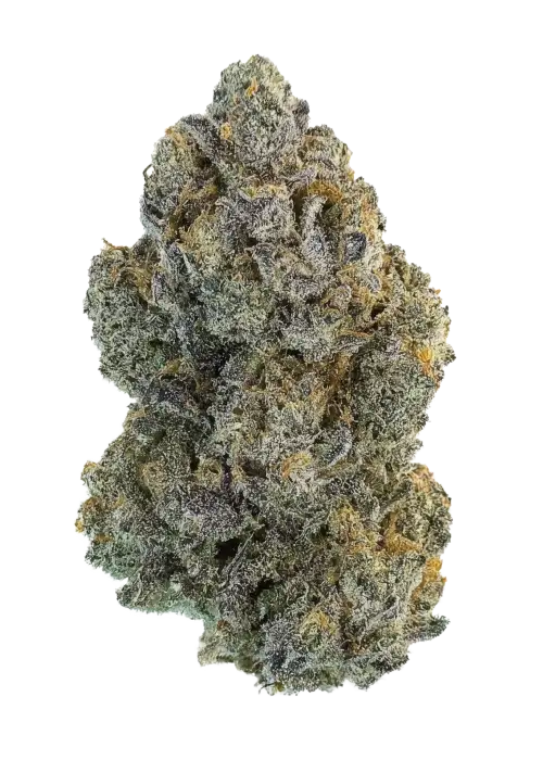 Black Bubblegum Horchata
