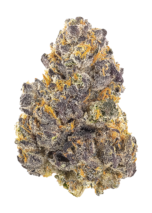 Guava Runtz