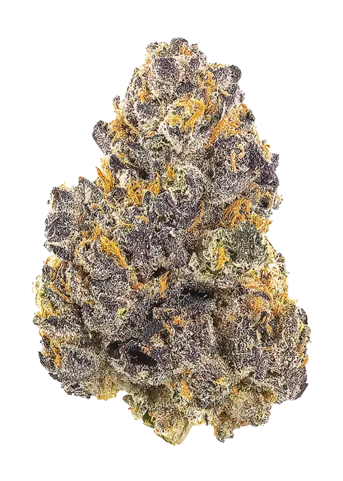 Guava Runtz