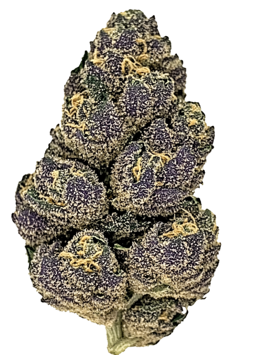 Guava Runtz