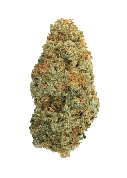 Orange 76