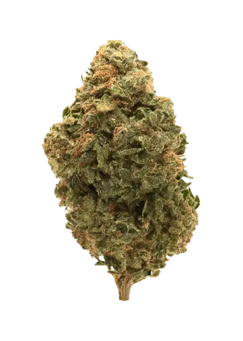 Acai Mints