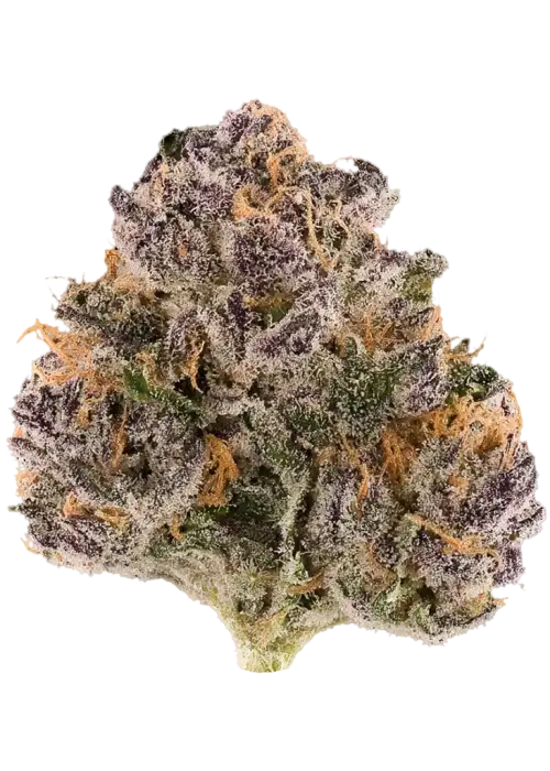 Purple Slush