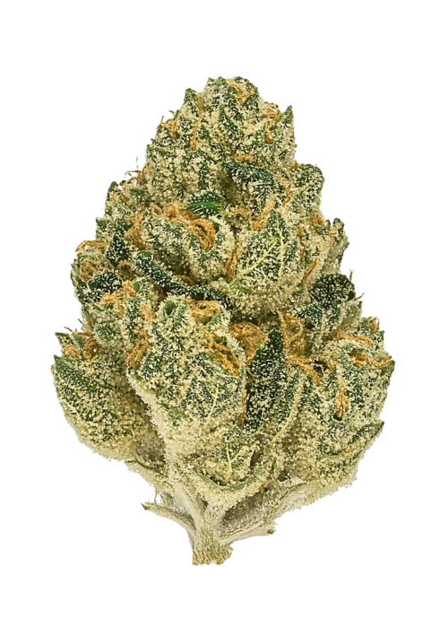 Sour Jealousy Auto