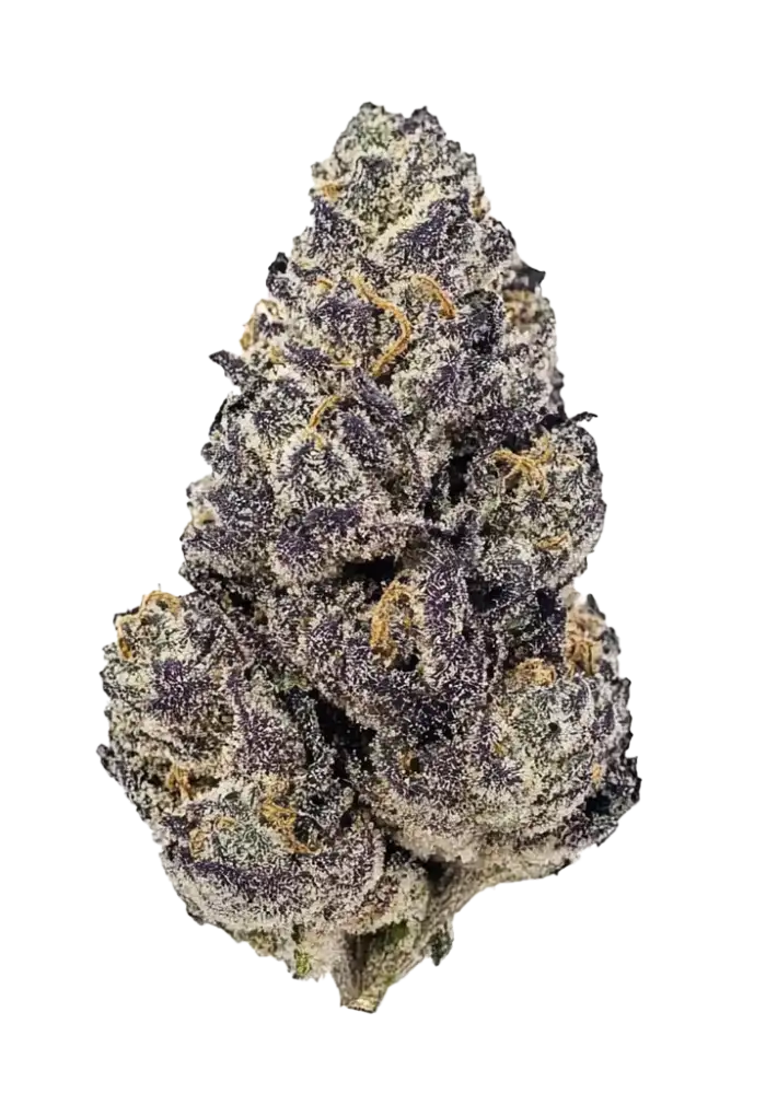 Gorilla Punch Auto Cannabis Strain Information - GrowDiar