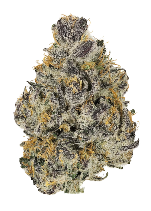 Purple Chai