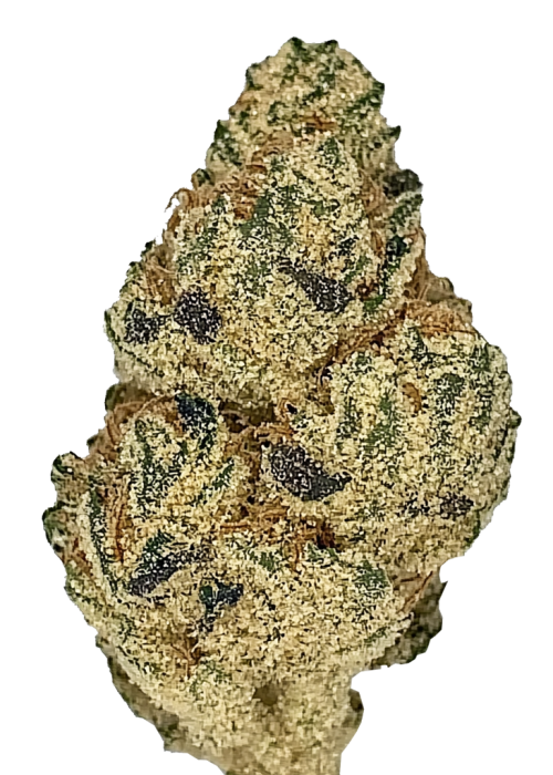 Blueberry Gumbo