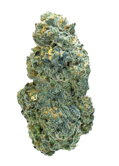 Mango Tango