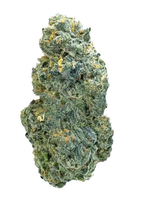 Mango Tango