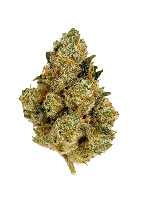 Jet Fuel