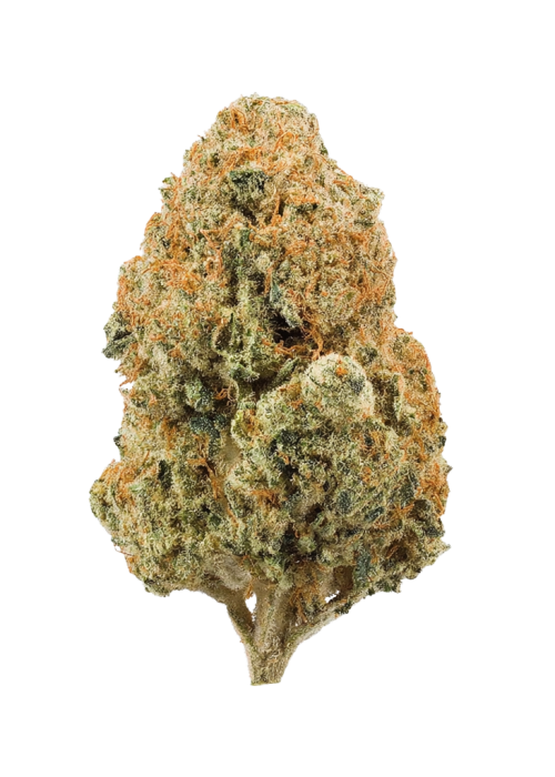 Tropical Gelato