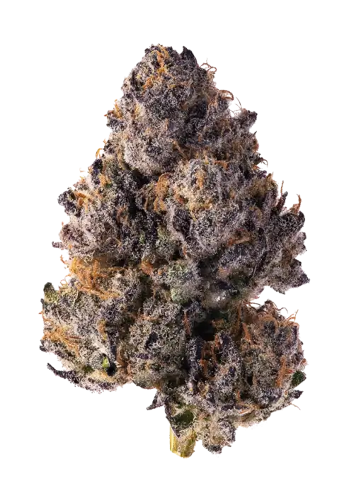 Purple Cookies