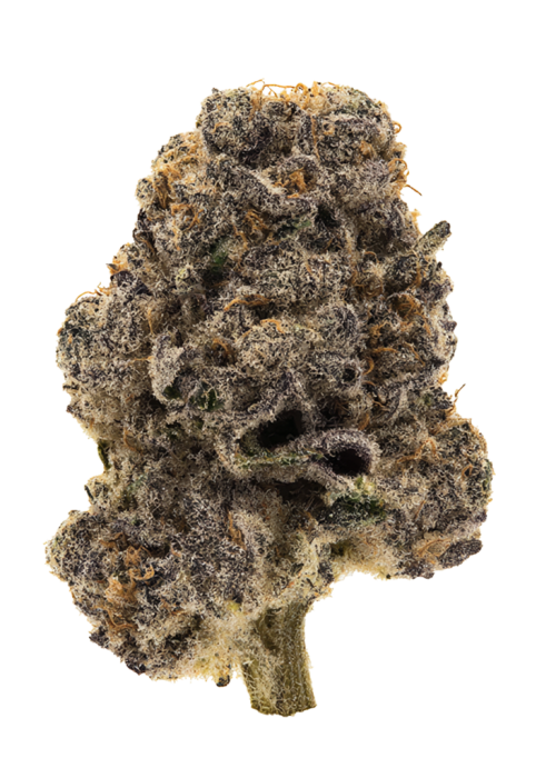 Platinum Kush Breath