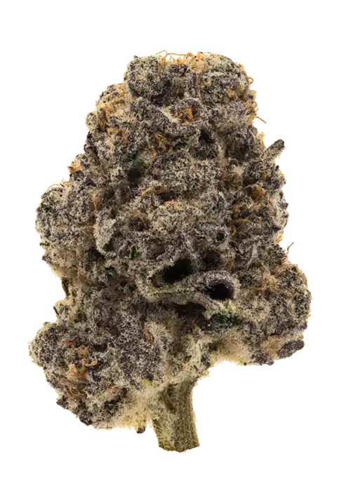 Platinum Kush Breath