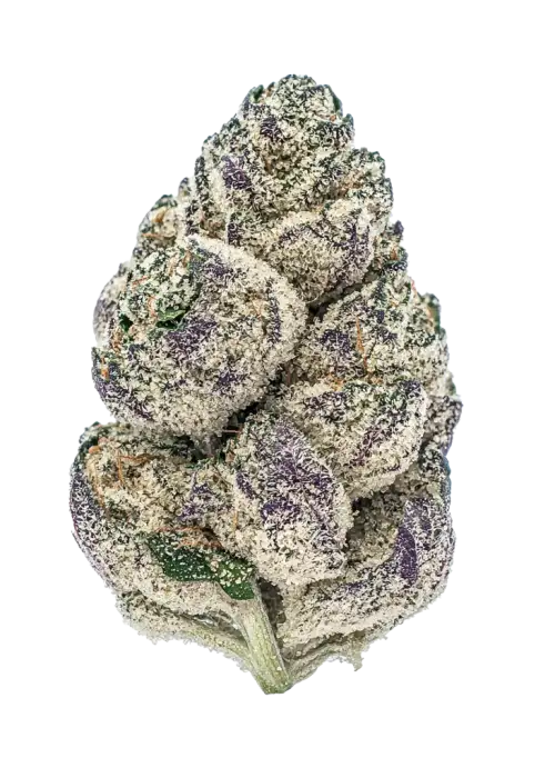 Platinum Kush Breath