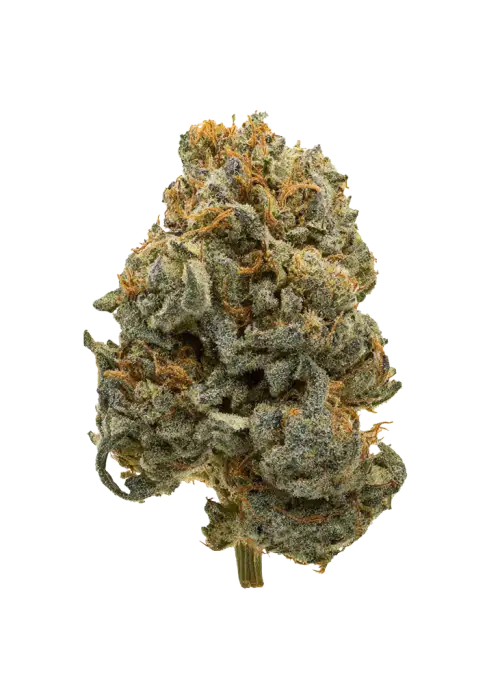 Sour Z