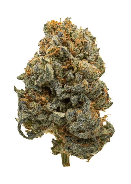 Sour Z